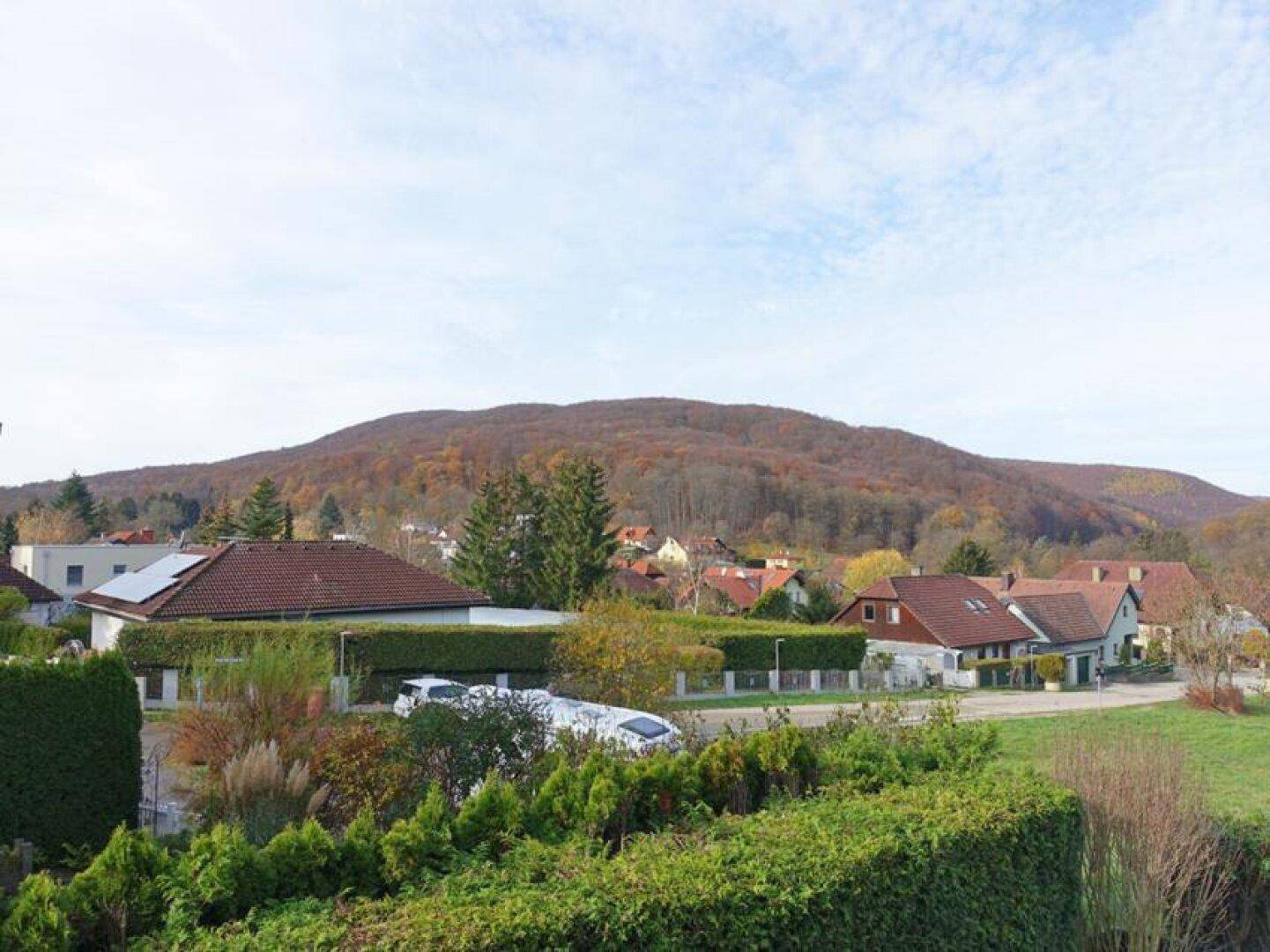 Ausblick Zimmer 3