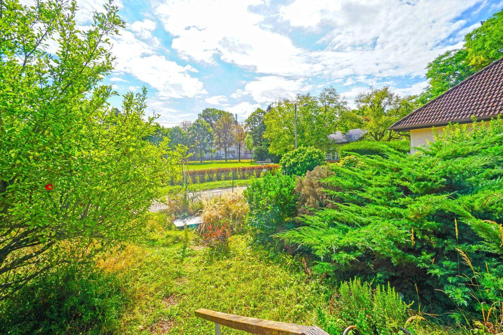 Garten SO Richtung Straße