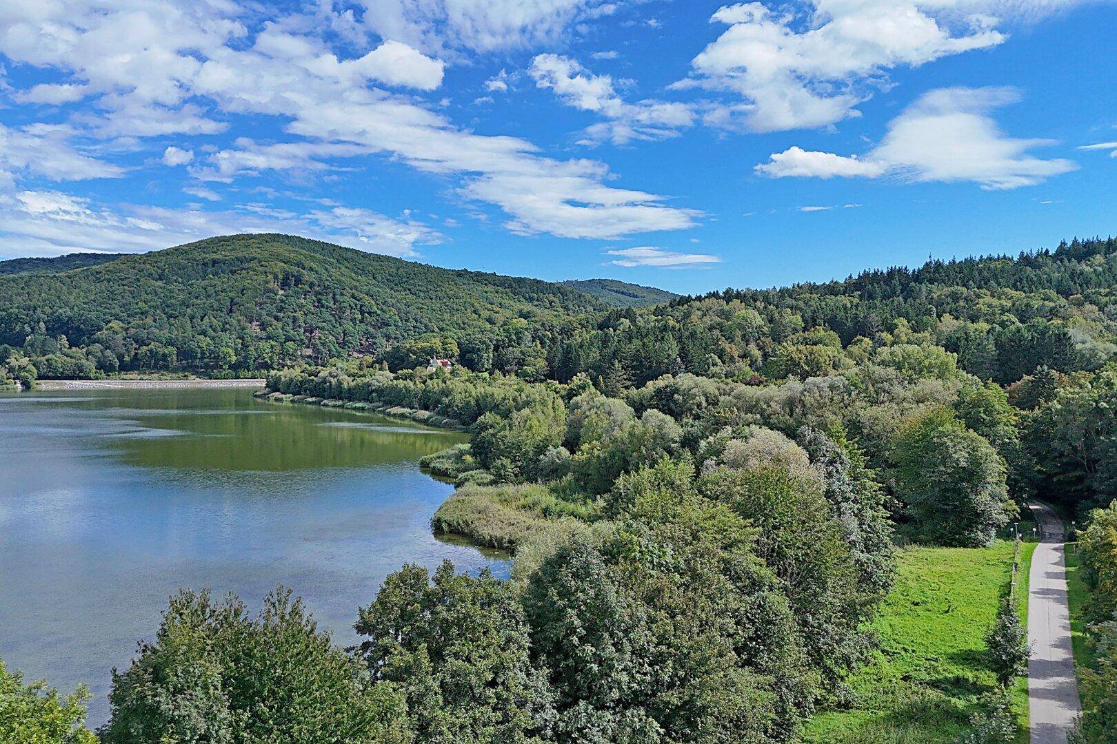 Weitläufiger Ausblick auf einen See mit bewaldeten Ufern und einem Spazierweg am Rand.