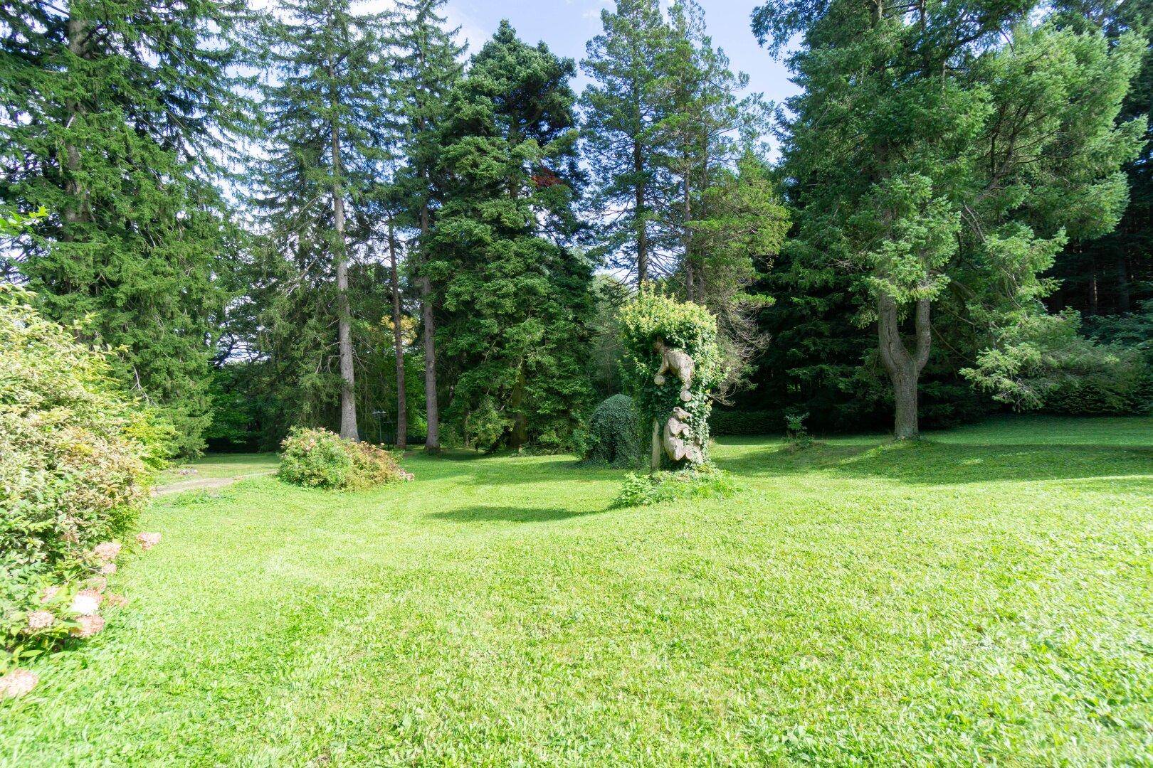 Weitläufiger, gepflegter Gartenbereich mit Rasenflächen und hohen Bäumen, ideal zum Entspannen.