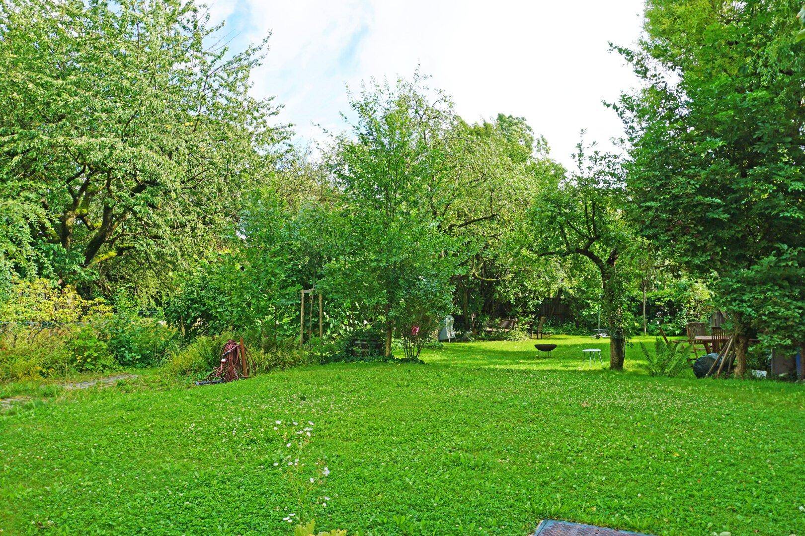 Allgemeingarten
