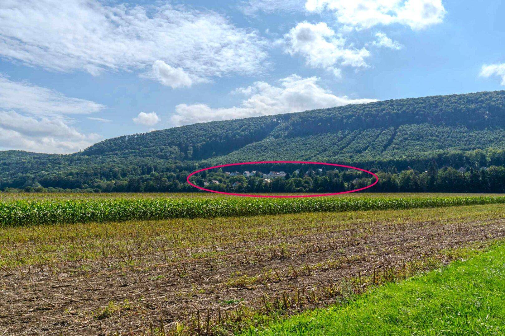 Lage Waldsiedlung