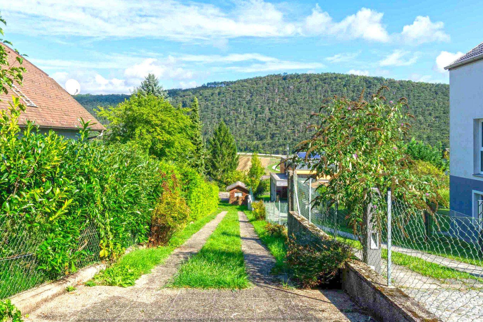 Fahnengrundstück_Zufahrt