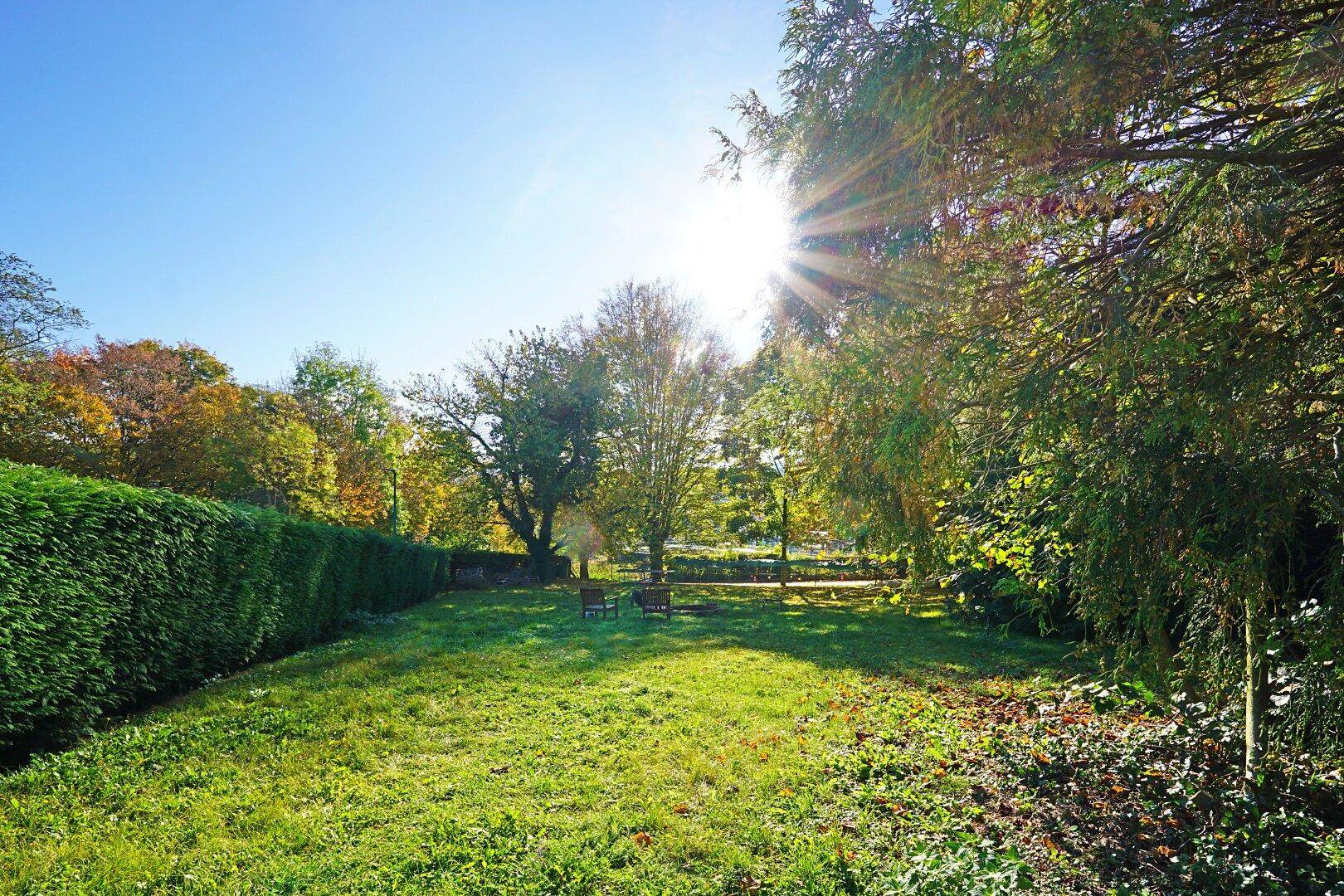 Sonniger Gartenbereich mit gepflegtem Rasen, hohen Hecken und altem Baumbestand.