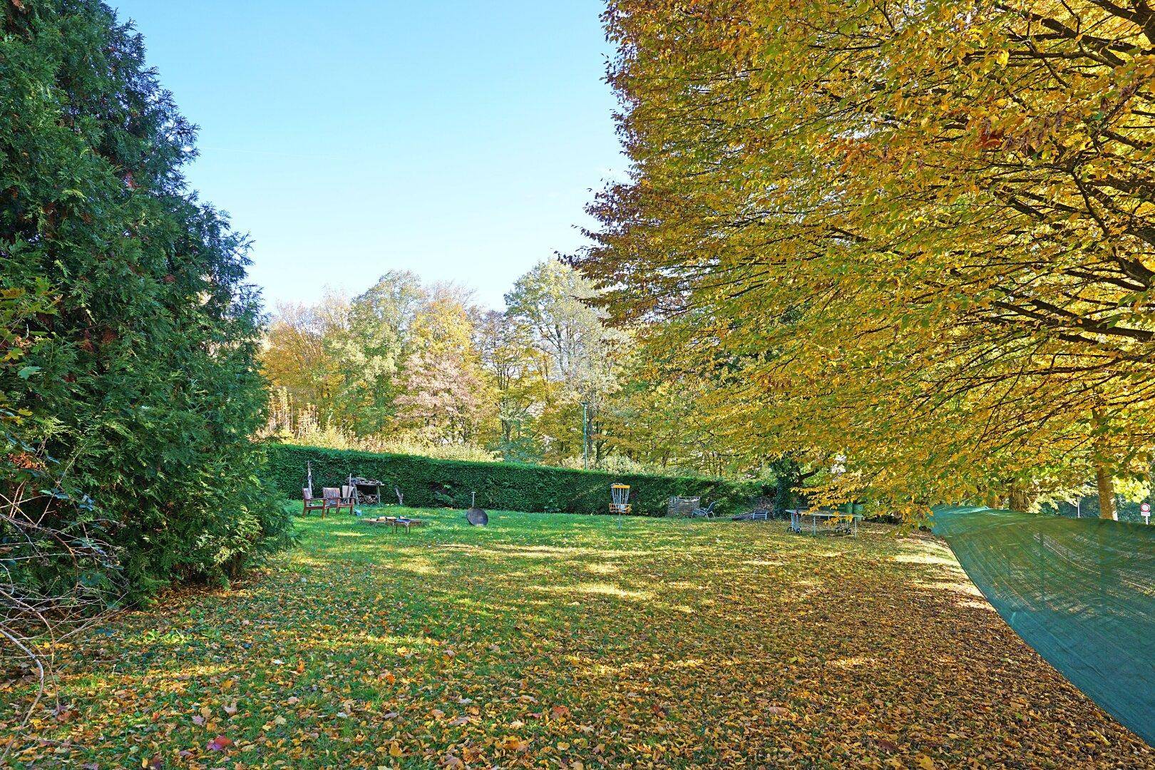 Großer Garten mit herbstlicher Laubfärbung, umgeben von hohen Bäumen und Hecken.