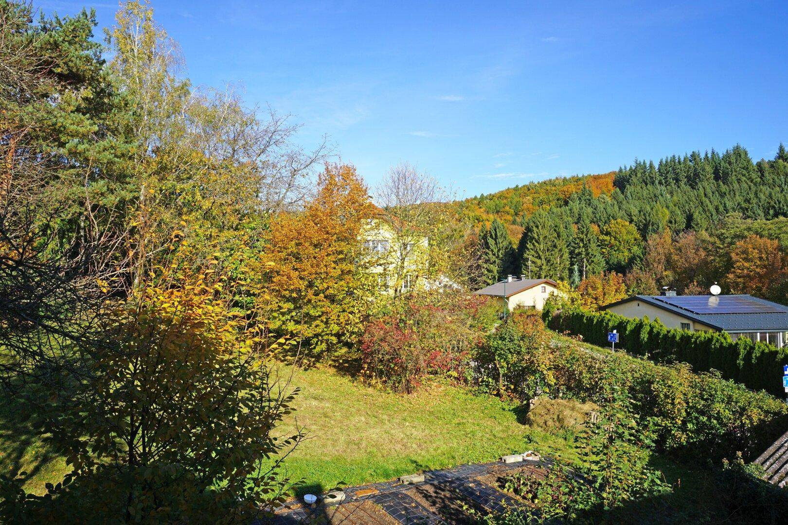Panoramablick auf die bewaldeten Hügel und die umliegende Naturlandschaft im Herbst.