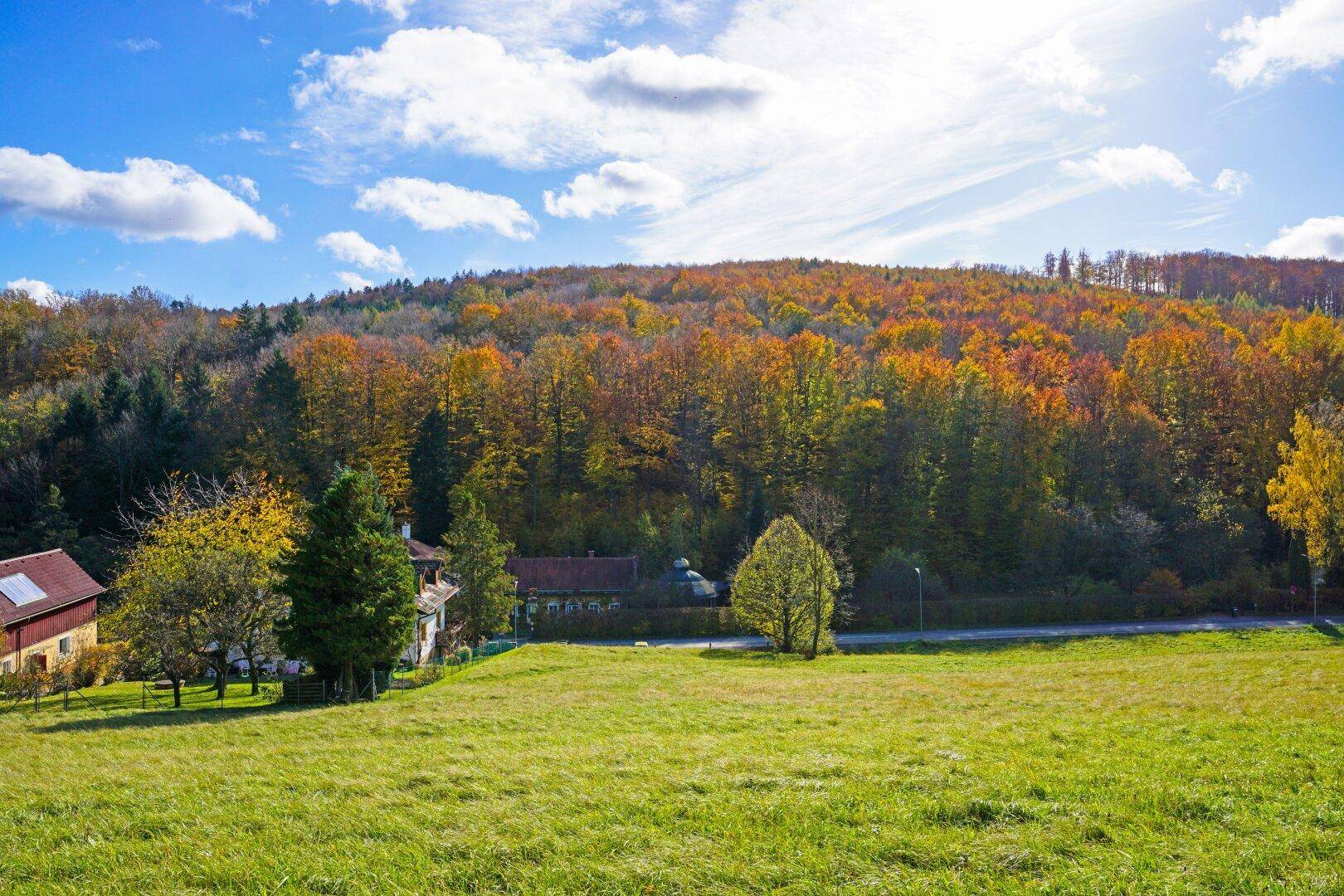 Großzügiges, naturnahes Grundstück in sonniger Ruhelage und mit herrlicher Aussicht - Ansicht 6