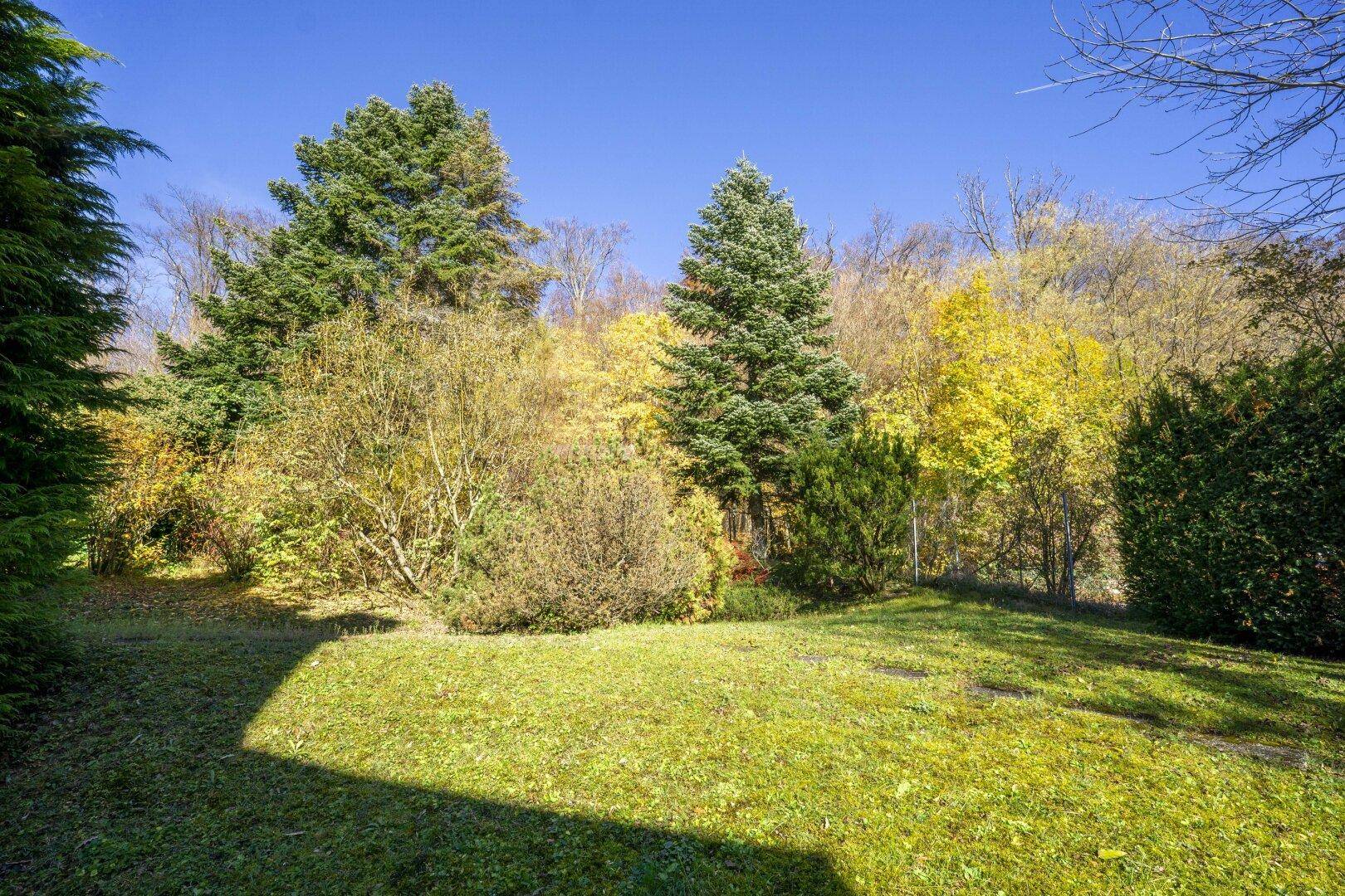 Eckreihenhaus mit Einfamilienhauscharakter in zentrumsnaher Aussichtsslage - Widok 5
