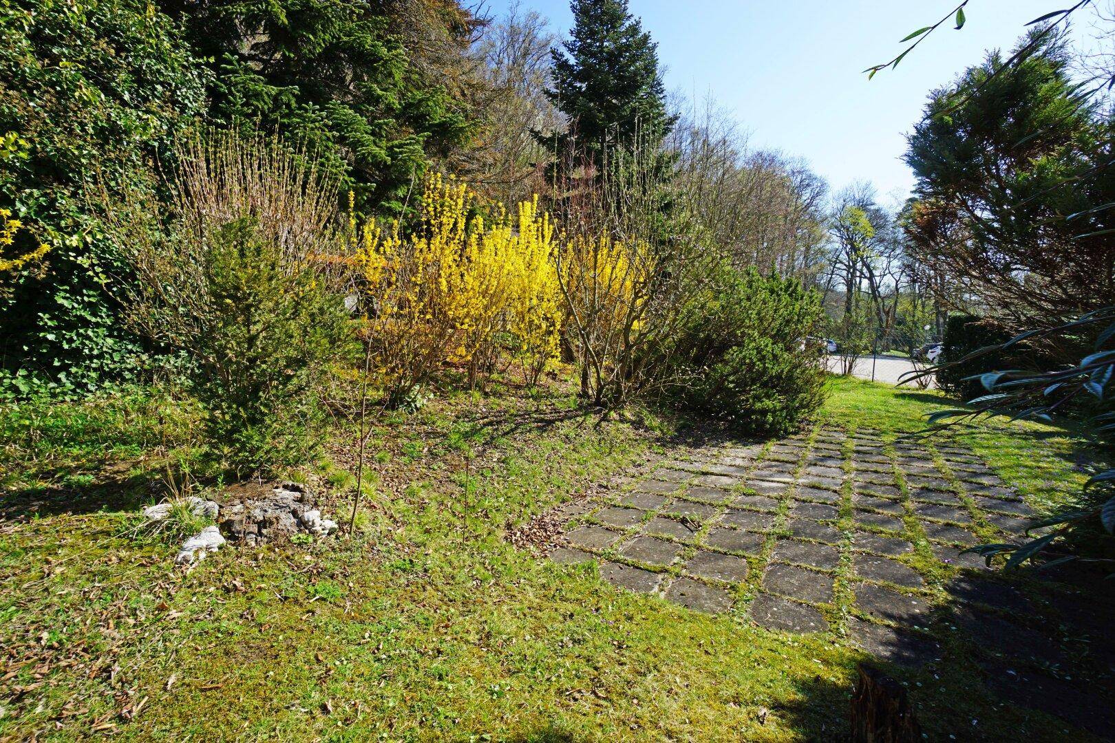 Gartenbereich mit gepflastertem Weg, blühenden Sträuchern und Bäumen im Sonnenlicht.