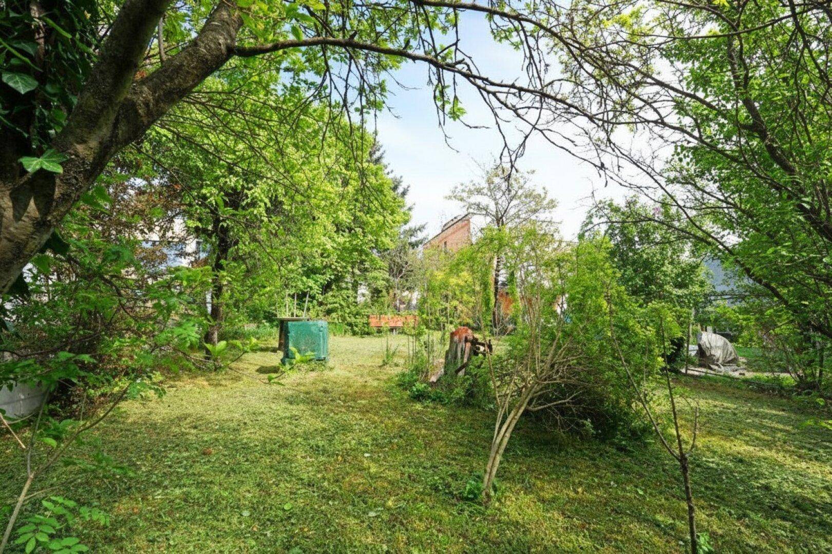 Sonniger Gartenbereich mit gepflegtem Rasen, umgeben von Bäumen und Sträuchern.