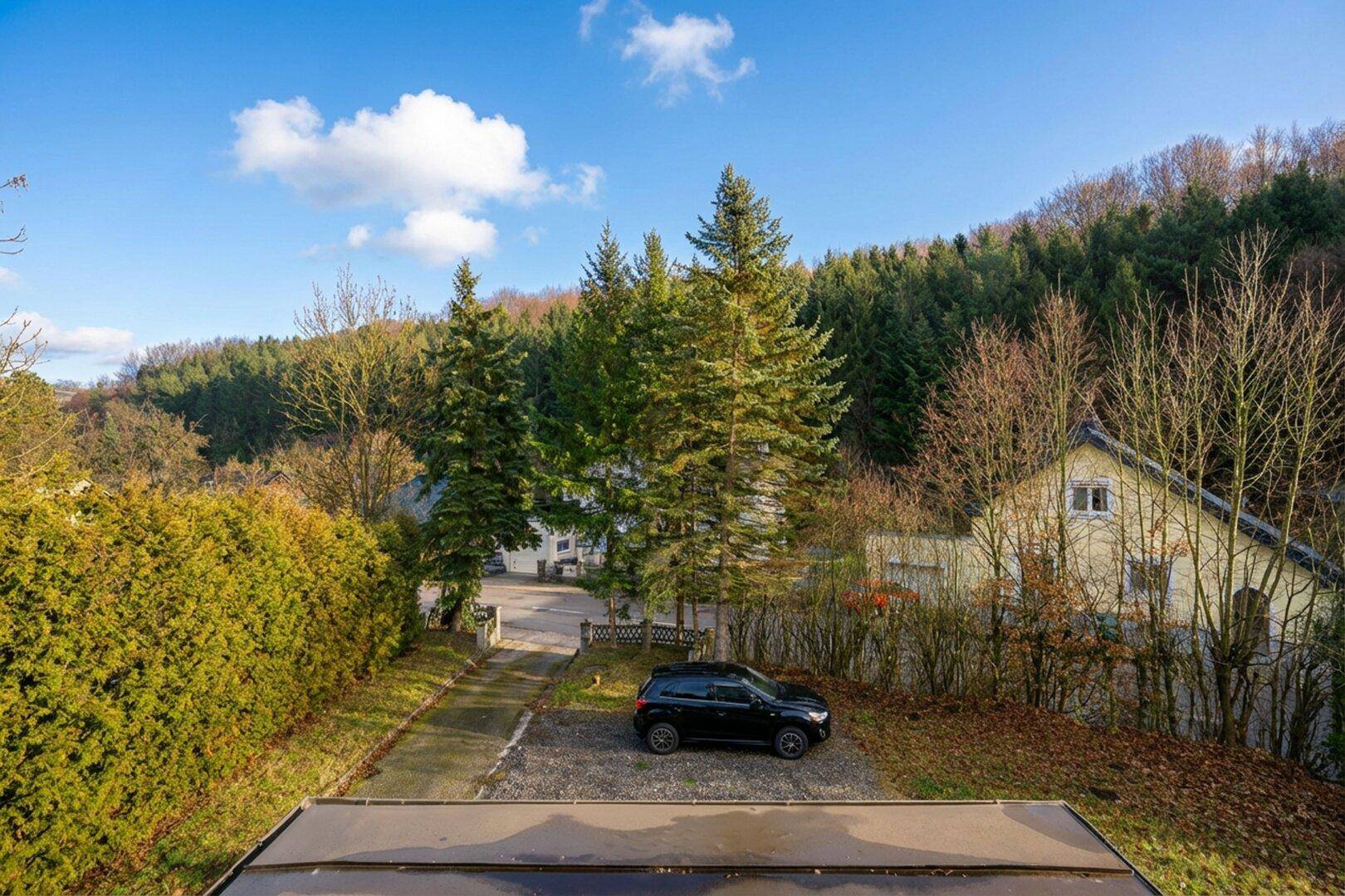 Panoramablick auf das Anwesen mit Zufahrt, Parkplatz und der umliegenden bewaldeten Landschaft.