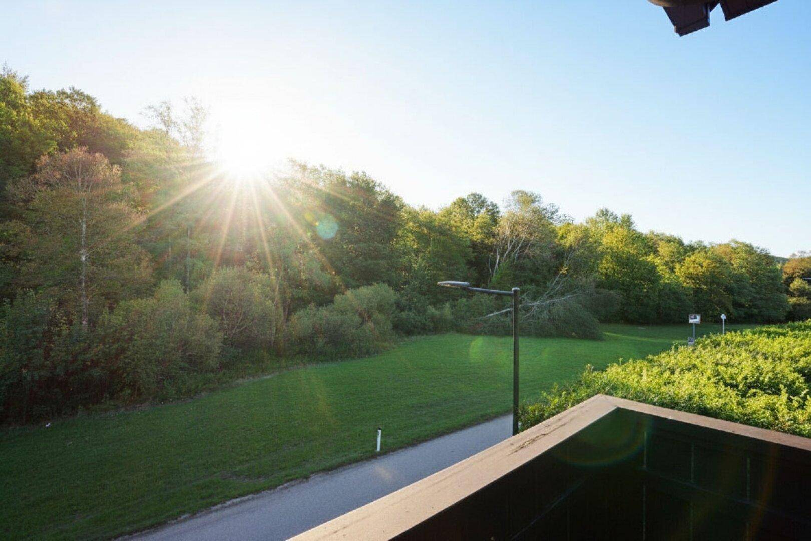 Weitläufiger Ausblick auf eine grüne Landschaft mit Wald und Wiesen unter strahlend blauem Himmel.