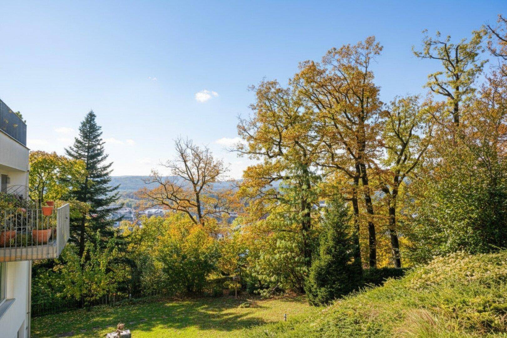 Blick von der Immobilie auf eine weite, grüne Landschaft mit vielen Bäumen und blauem Himmel.