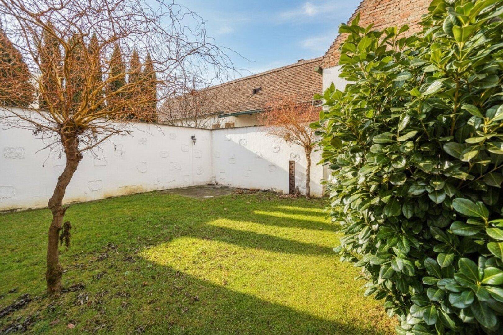 Kleiner, gepflegter Gartenbereich mit Rasenfläche und hohen Mauern für Privatsphäre.