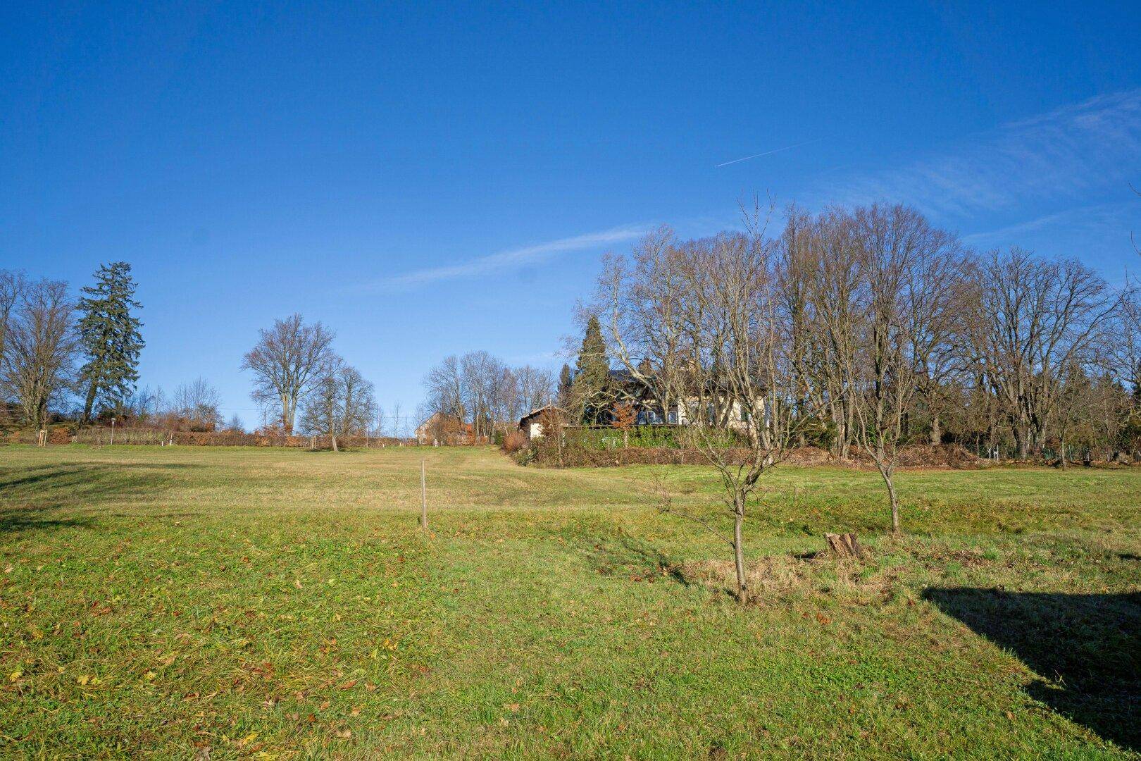 Weitläufige grüne Wiese mit Bäumen im Hintergrund und einem Haus in der Ferne unter blauem Himmel.
