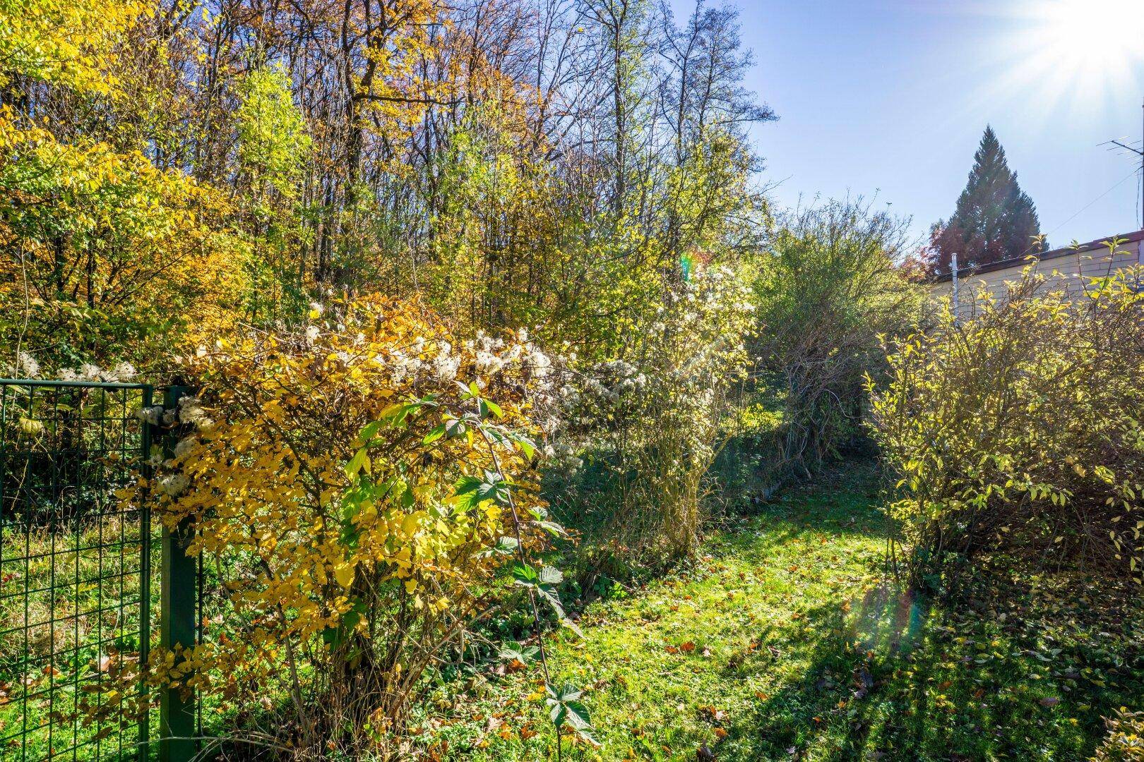 Baugrund mit Althaus in Grünruhelage am Waldrand - Aufschließungsabgabe bezahlt! - Ansicht 5