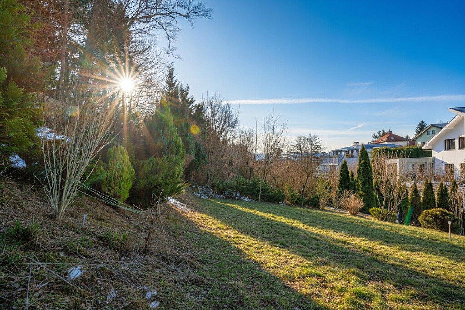 Hochwertige Wohnimmobilie mit 3 Einheiten - Wohnen und Arbeiten in waldnaher Ruhelage - Ansicht 3