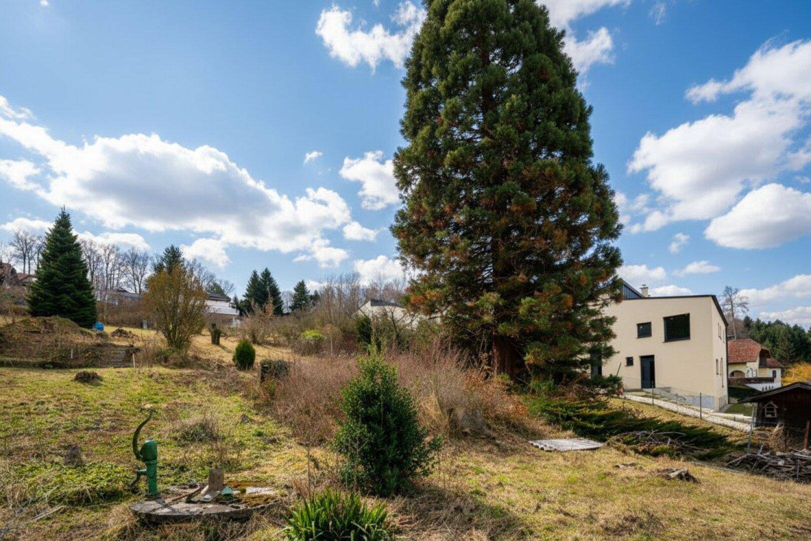 Aufschließungsabgabe bezahlt! Großzügiges Baugrundstück in mittlerer Hanglage an der Grenze zu Eichgraben - Ansicht 3