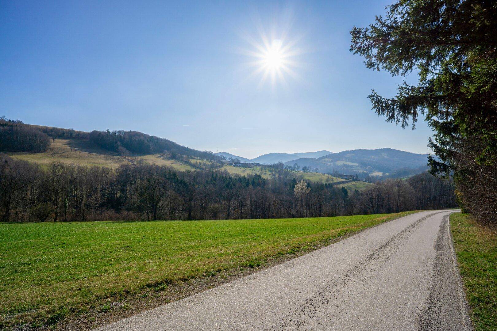 Sonniger Feldweg führt durch eine grüne Hügellandschaft mit weitem Blick in die Ferne.