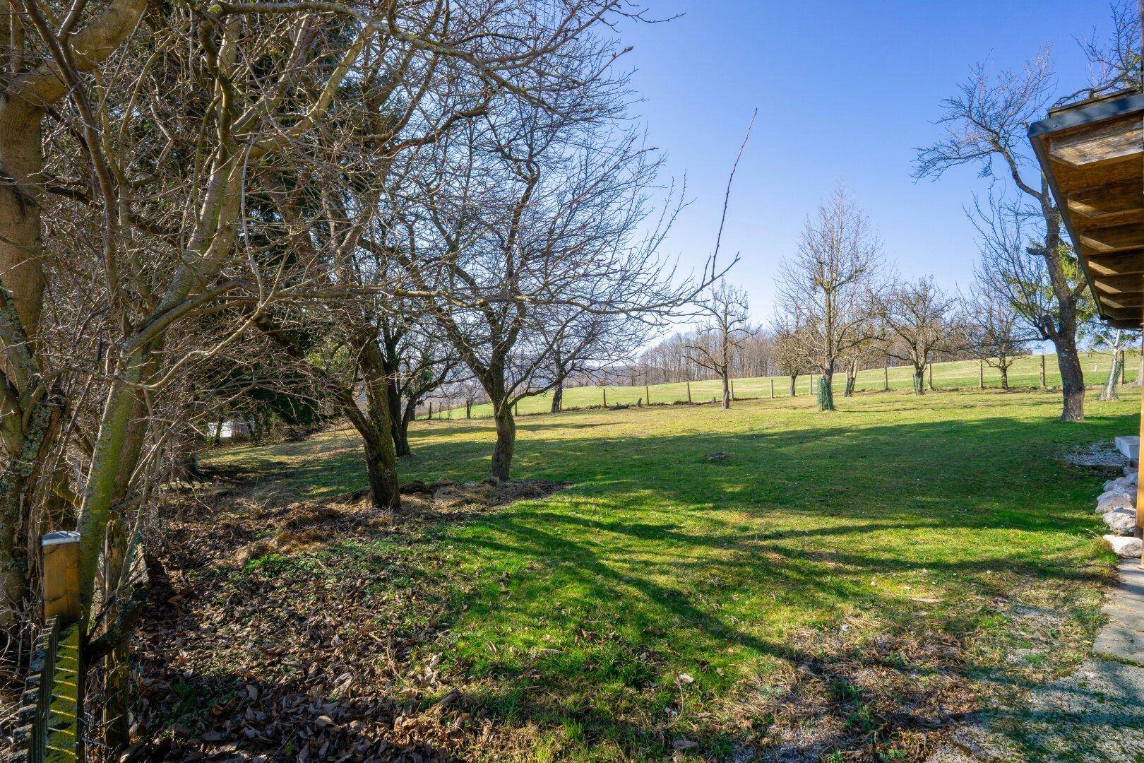 Großer, sonniger Gartenbereich mit Rasenfläche und jungen Bäumen, umgeben von Natur.