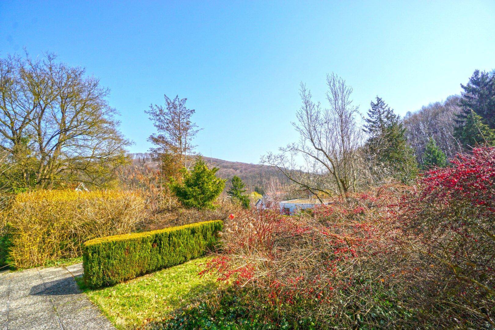 Weitläufiger Blick über den naturnahen Garten und die hügelige Landschaft unter blauem Himmel.