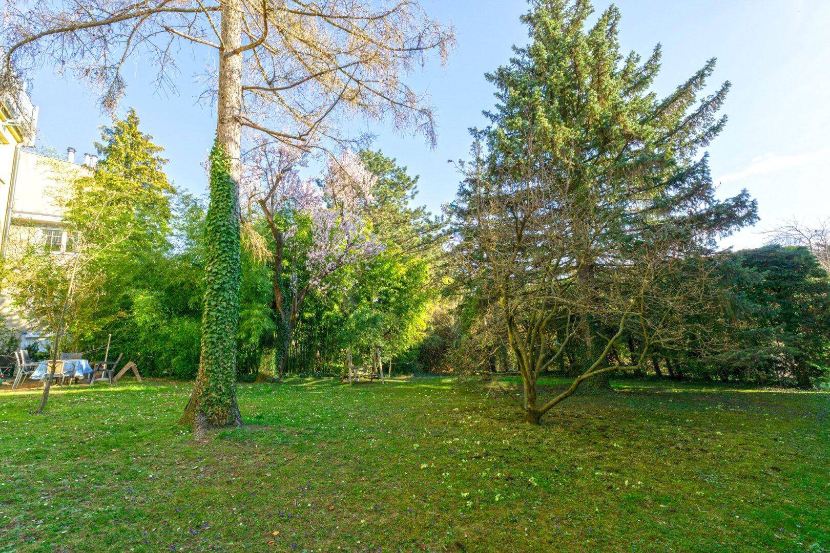 Großzügiger, sonniger Garten mit weitläufiger Rasenfläche und altem Baumbestand.