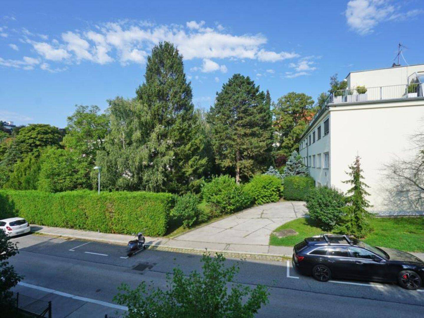 Blick auf die Straße mit parkenden Autos und üppiger grüner Umgebung.