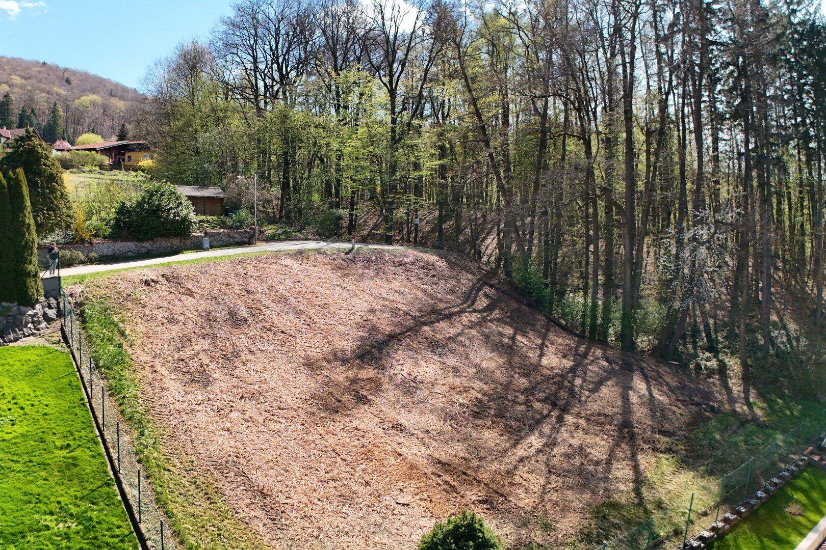 Großes, gerodetes Grundstück am Waldrand mit viel Grün und Baumbestand.