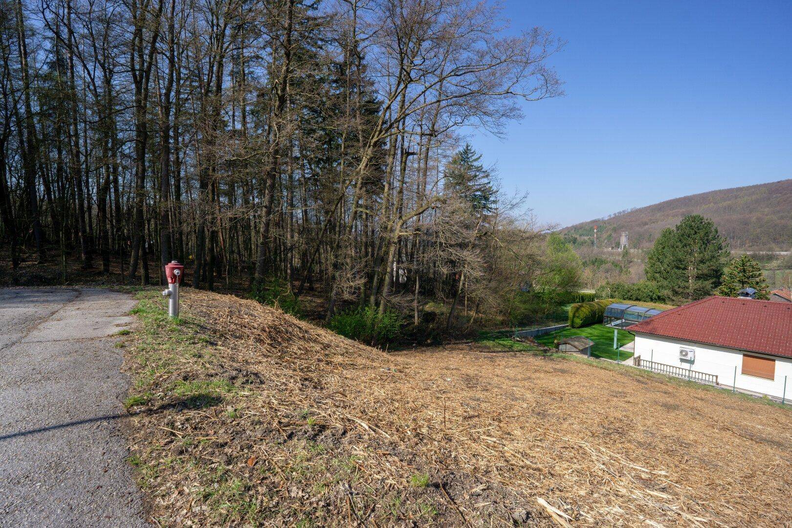 Grundstück am Waldrand mit Zufahrtsweg und Blick auf die umliegende Natur und ein Wohnhaus.
