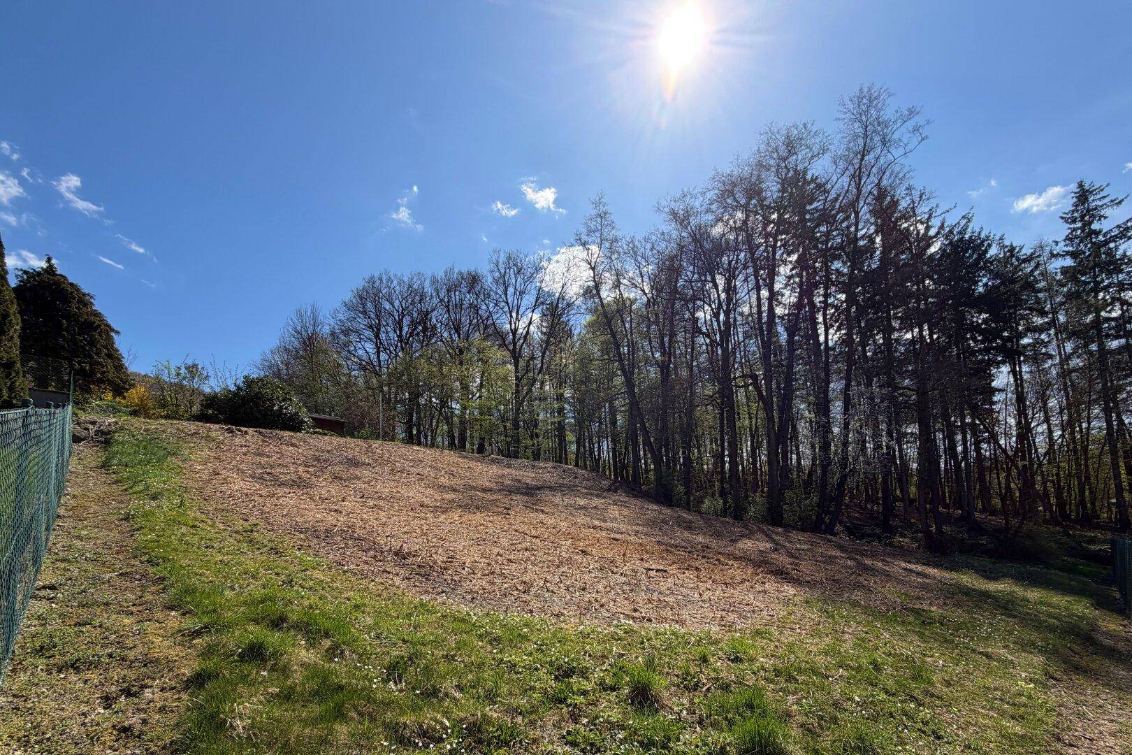 Sonniges, gerodetes Grundstück mit Waldrand und weitem Blick in die Natur.