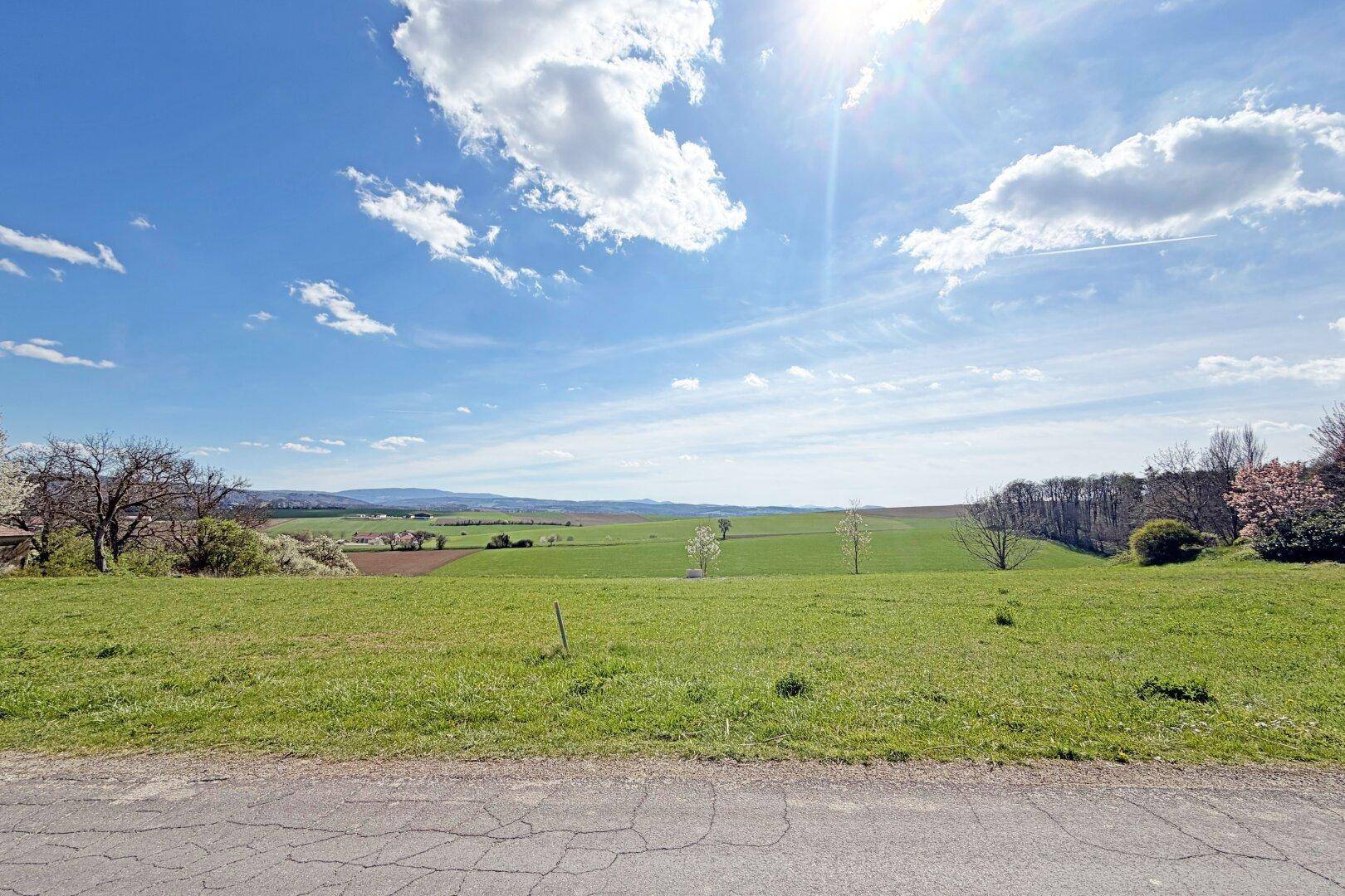 Sonniger Blick über eine weite grüne Wiese mit Horizont und blauen Himmel mit Wolken.
