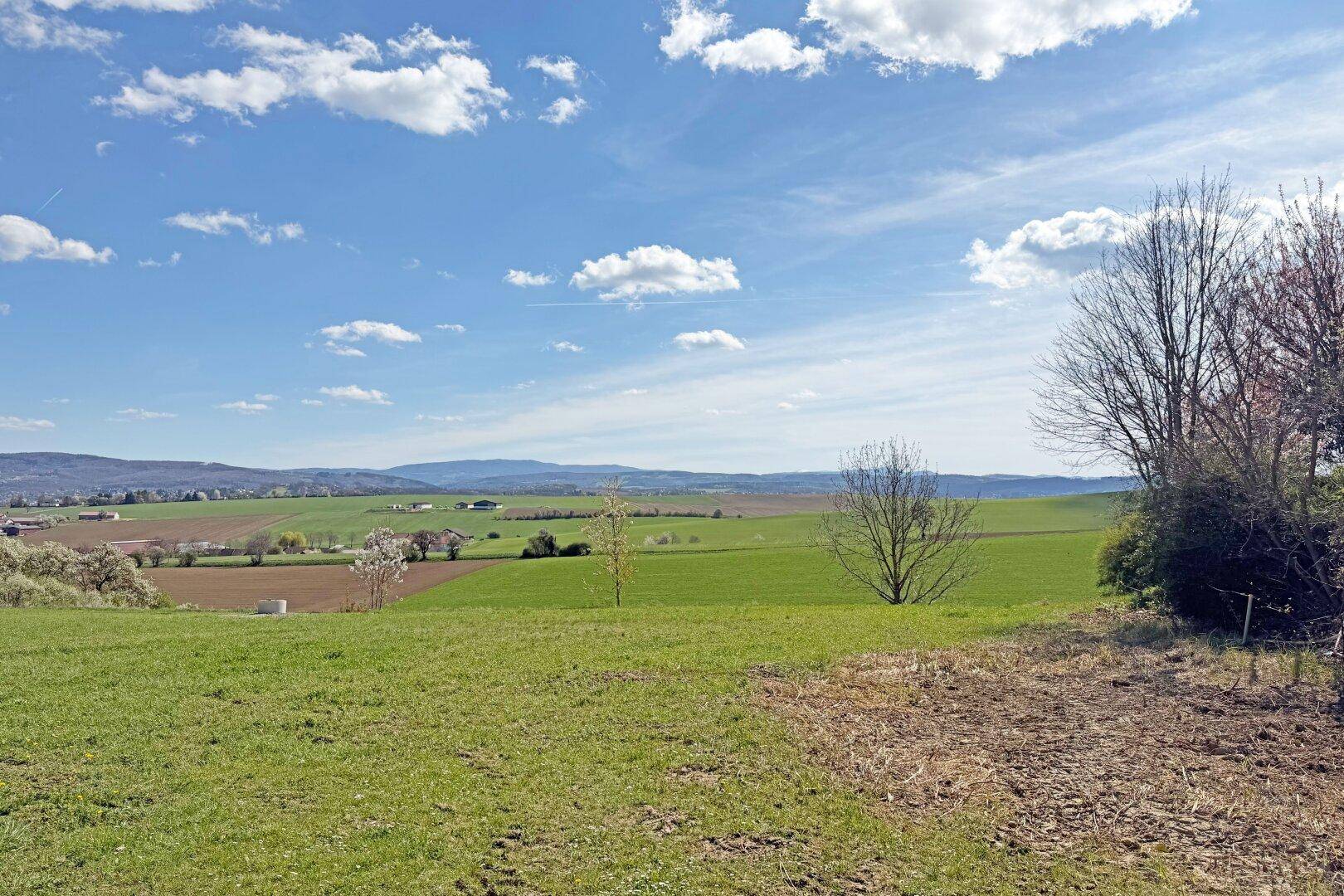 Weitläufige grüne Landschaft mit sanften Hügeln und Feldern unter einem klaren Himmel.