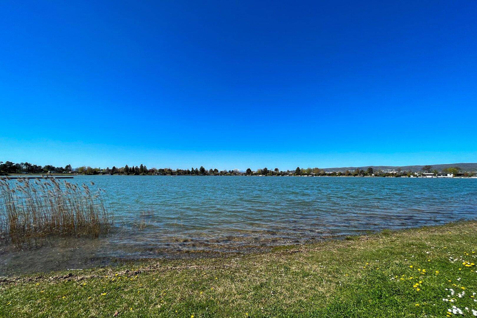 Ruhiger See mit Schilf am Ufer und weitem Blick unter blauem Himmel.