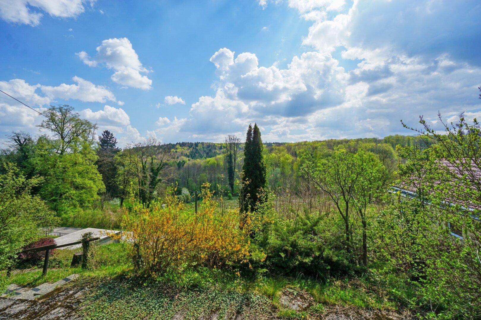 Panoramablick auf die umliegende Natur mit grünen Bäumen und Wiesen unter blauem Himmel.