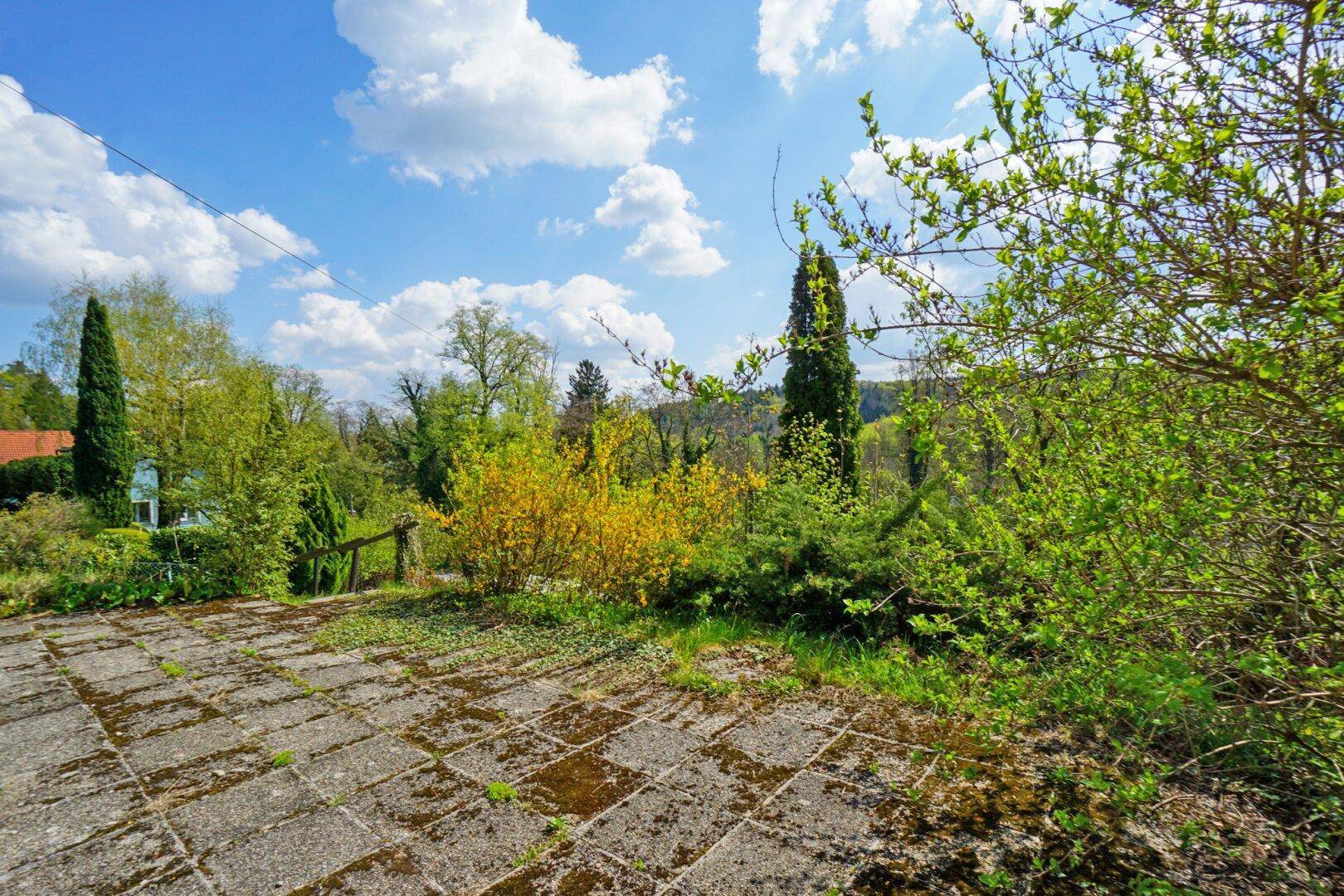 Gepflasterte Terrasse im Freien, umgeben von üppiger Vegetation und Bäumen.