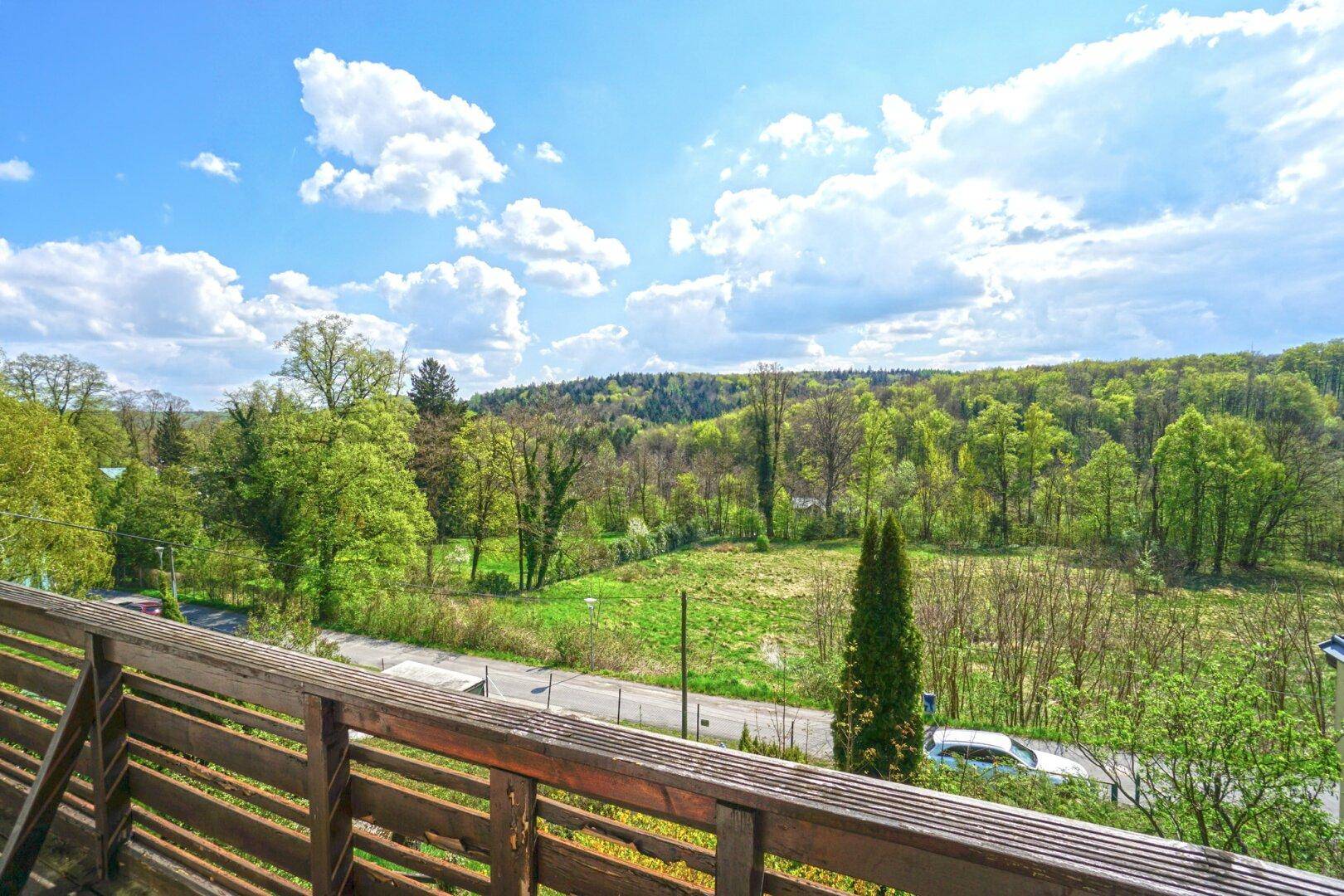 Weitläufiger Ausblick vom Balkon über die grüne Landschaft und die umliegenden Wälder.