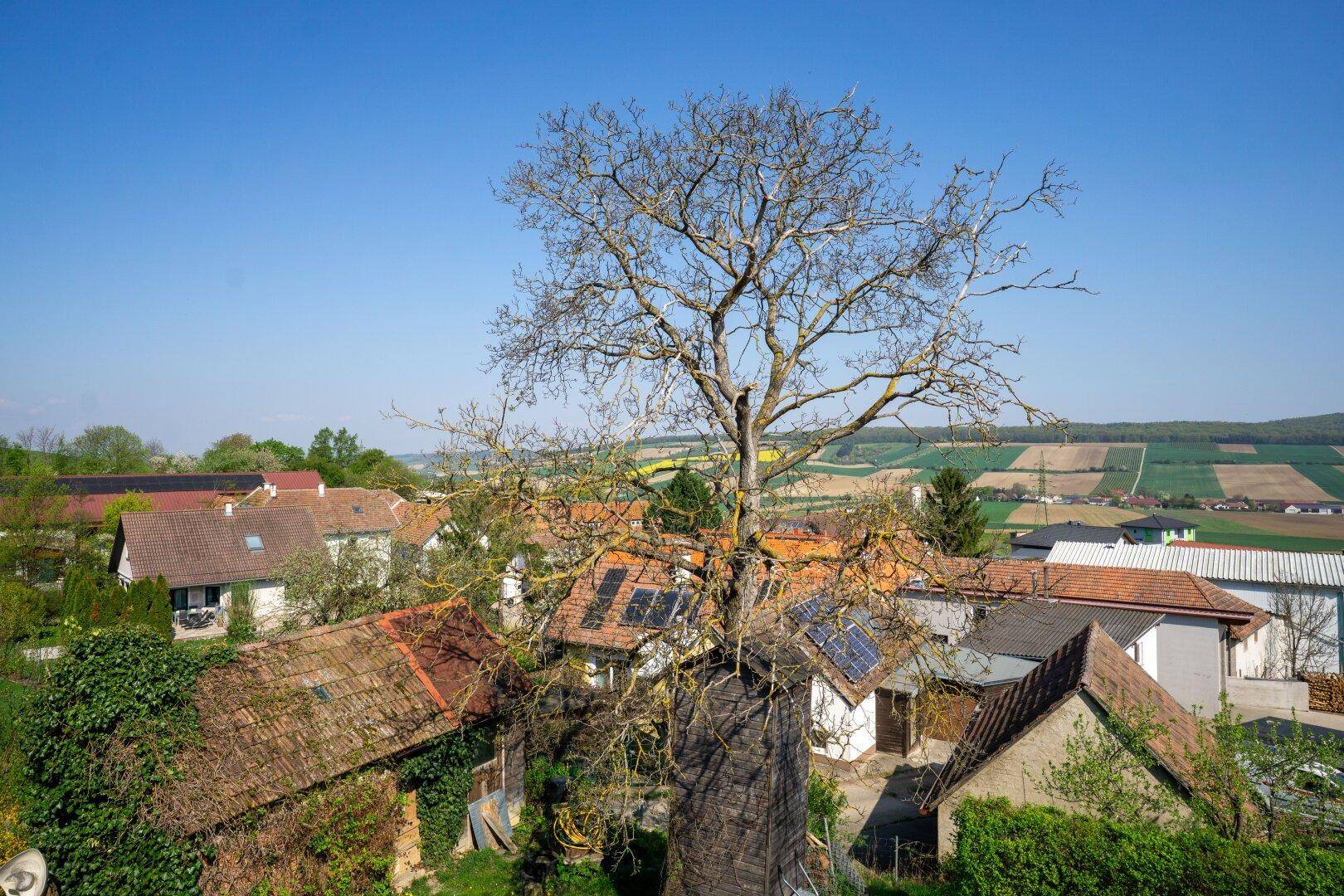 Panoramablick über die Dächer der Nachbarhäuser und die weite, grüne Landschaft.
