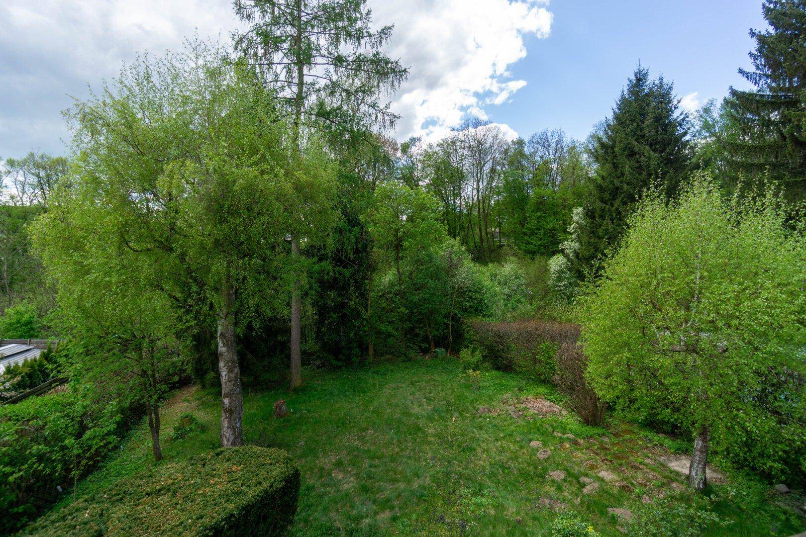 Großer, gepflegter Garten mit Rasenfläche und altem Baumbestand.