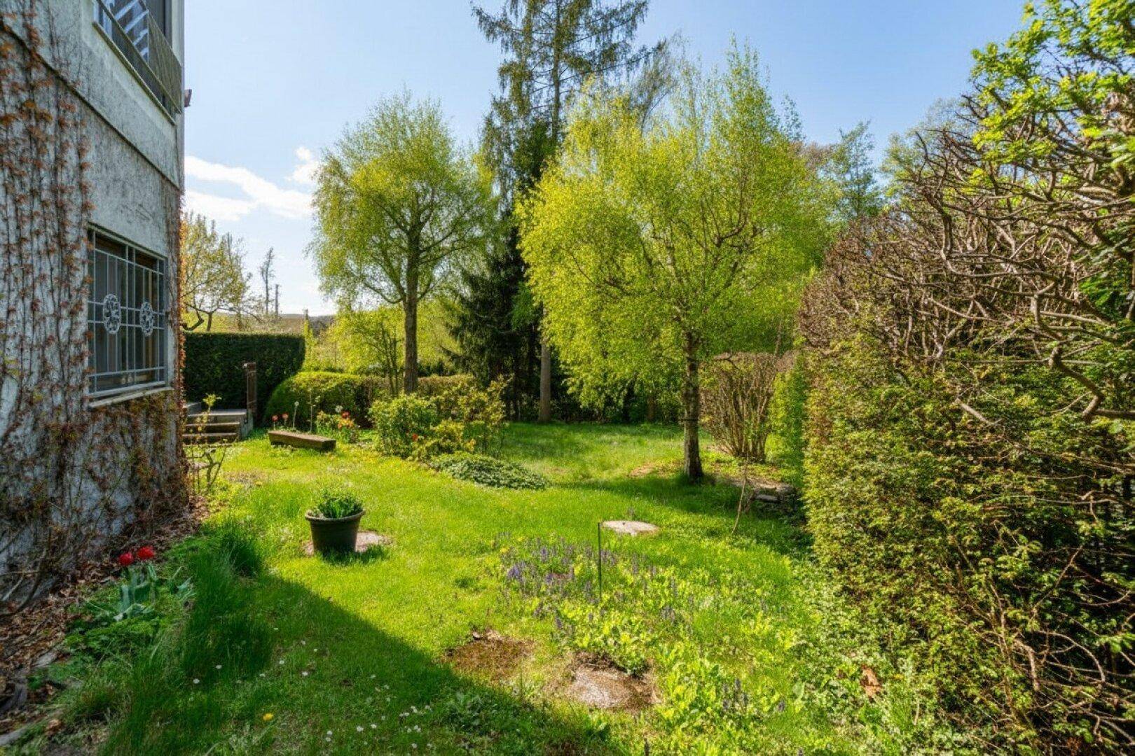 Idyllischer Gartenbereich mit Rasen, Bäumen und Sträuchern.