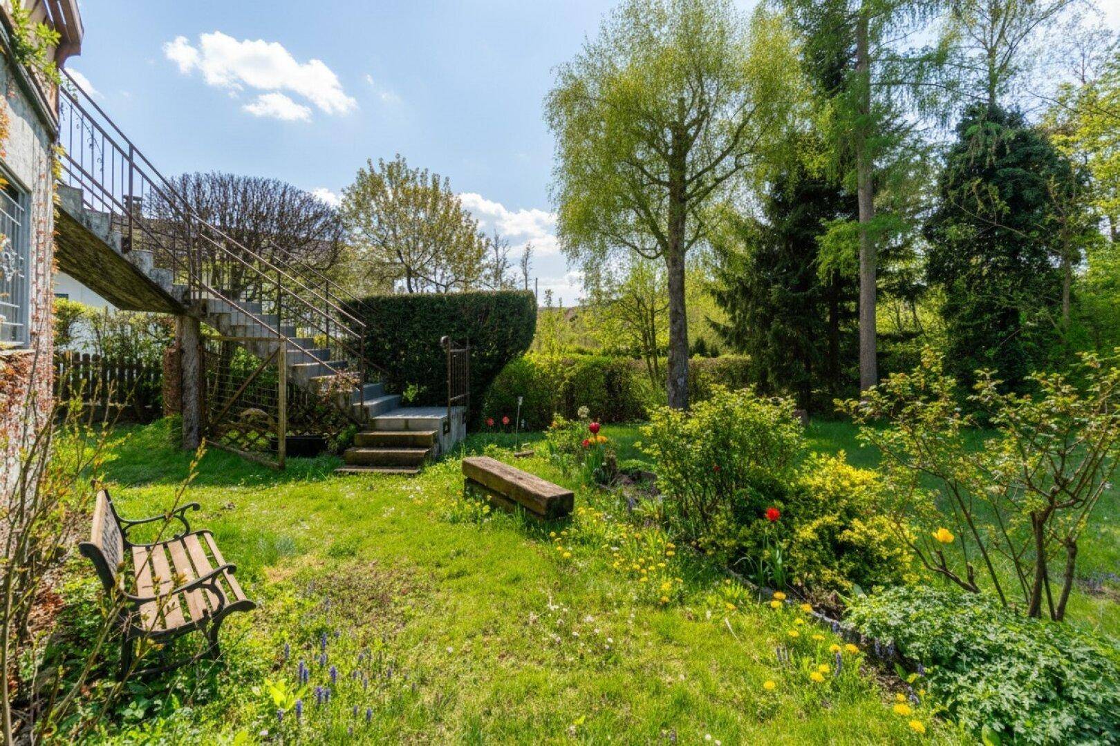 Entspannender Gartenbereich mit Sitzbank, Rasen und üppiger Vegetation.