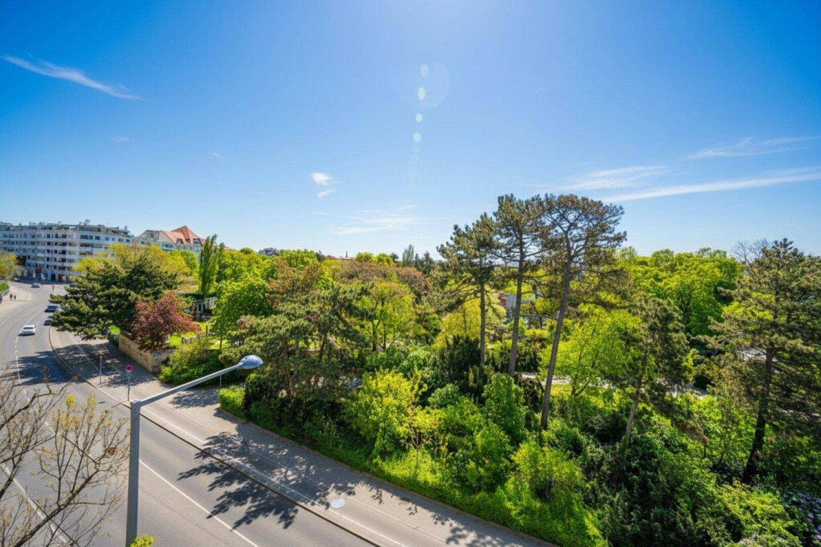 Weitläufiger Blick auf eine grüne Parklandschaft und die angrenzende Straße unter blauem Himmel.