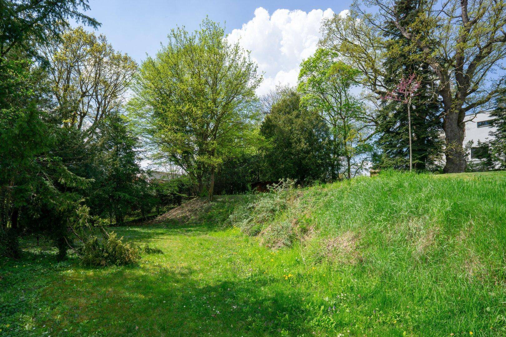 Sonnige Gartenfläche mit sanften Hügeln und altem Baumbestand unter blauem Himmel.