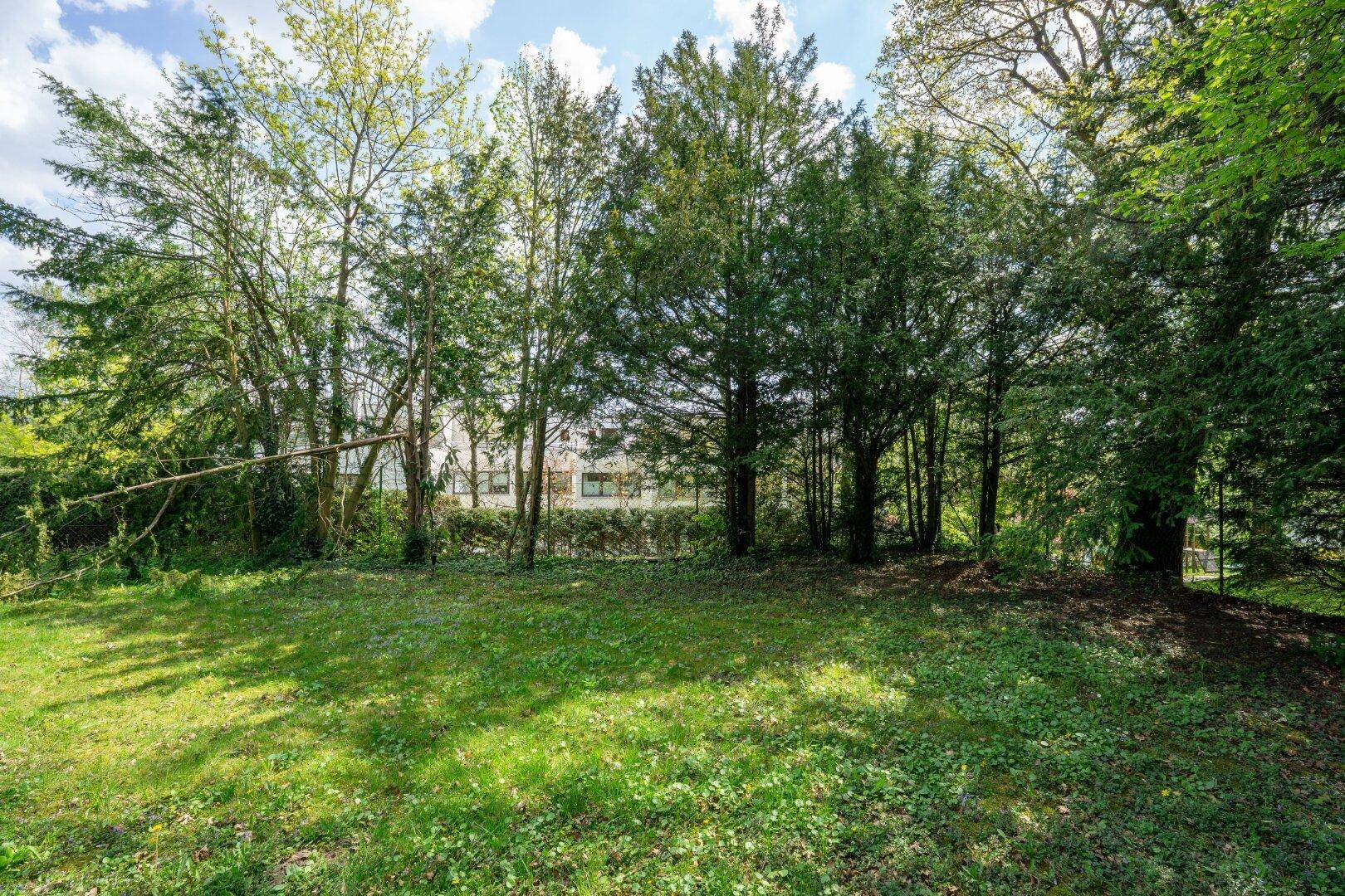 Grüne Gartenfläche mit dichtem Baumbestand und einem Zaun im Hintergrund, der die Grundstücksgrenze markiert.