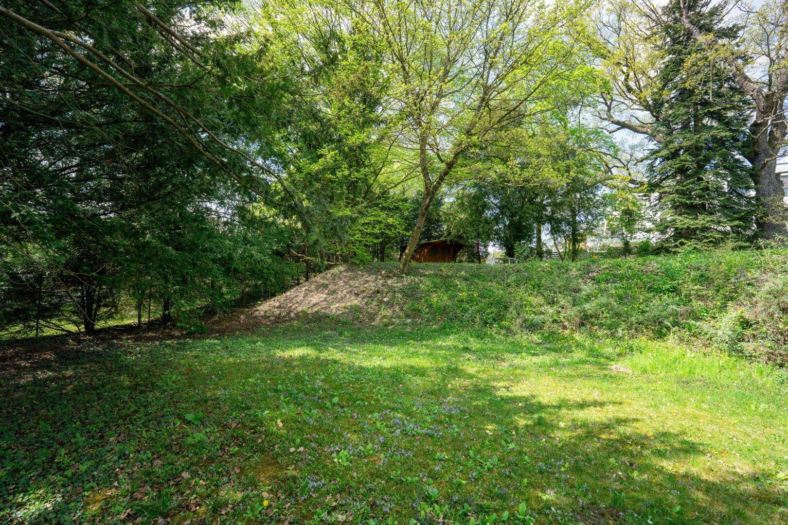 Naturbelassener Gartenbereich mit Rasen, Bäumen und einem kleinen Erdhügel, der zum Grundstück gehört.