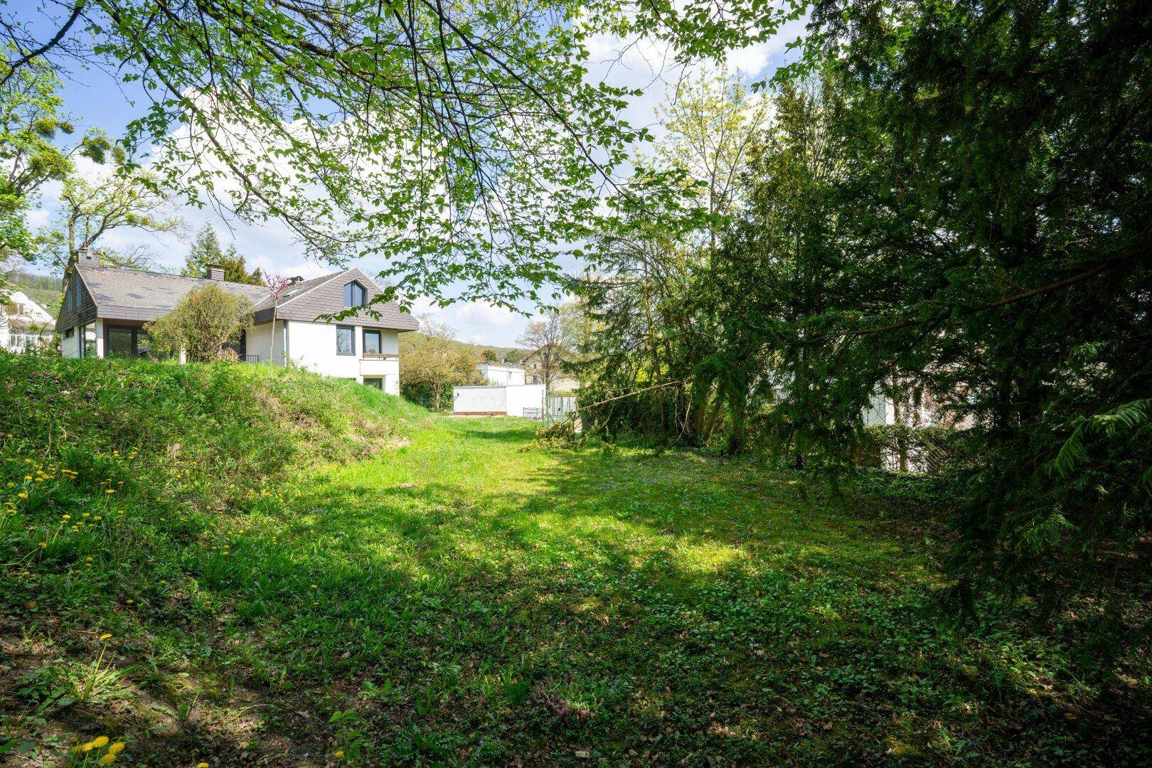 Gartenbereich mit Rasen und Bäumen, im Hintergrund ist ein modernes Wohnhaus mit großen Fenstern sichtbar.