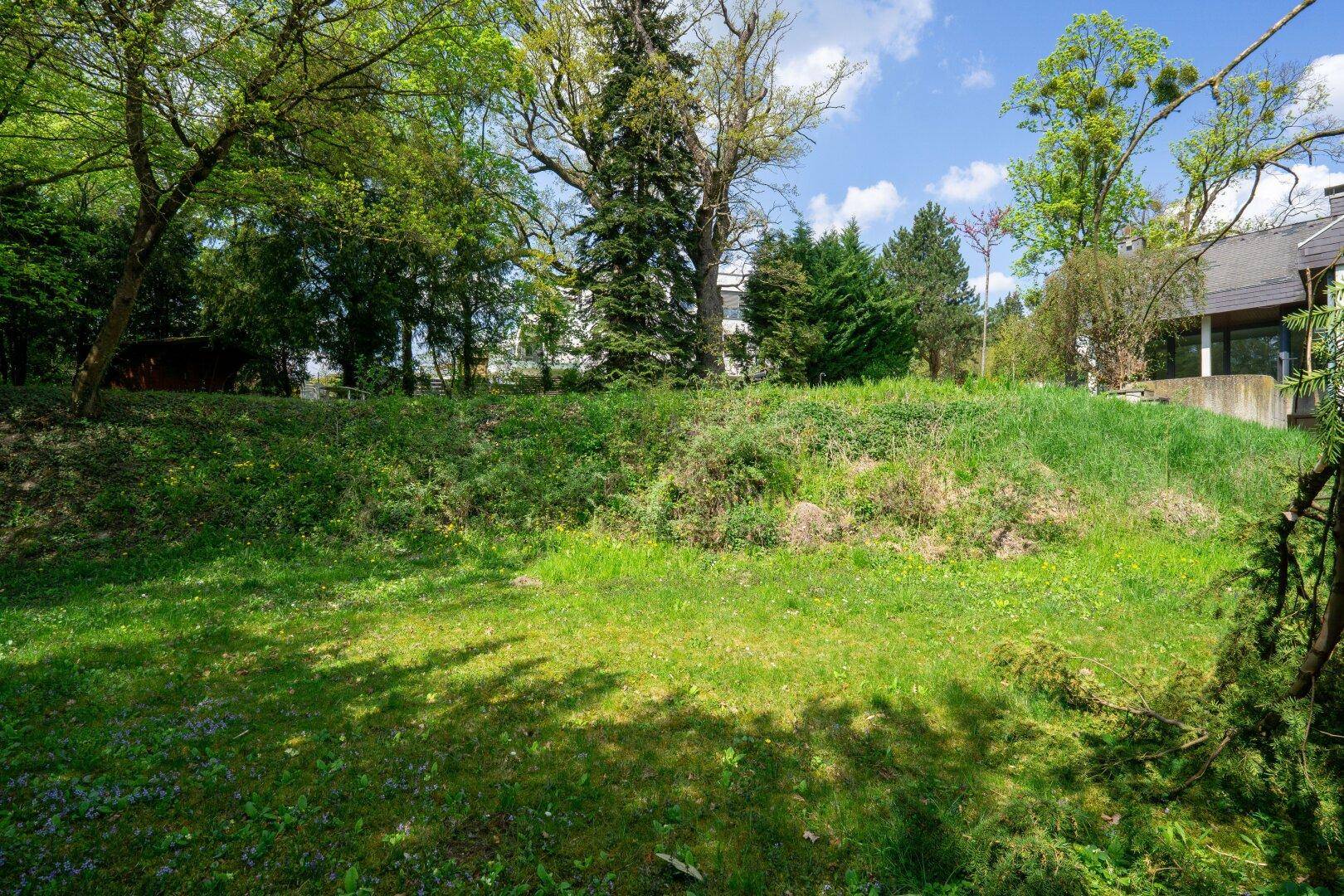 Weitläufige Gartenfläche mit üppigem Grün, Bäumen und Sträuchern unter einem hellen Frühlingshimmel.
