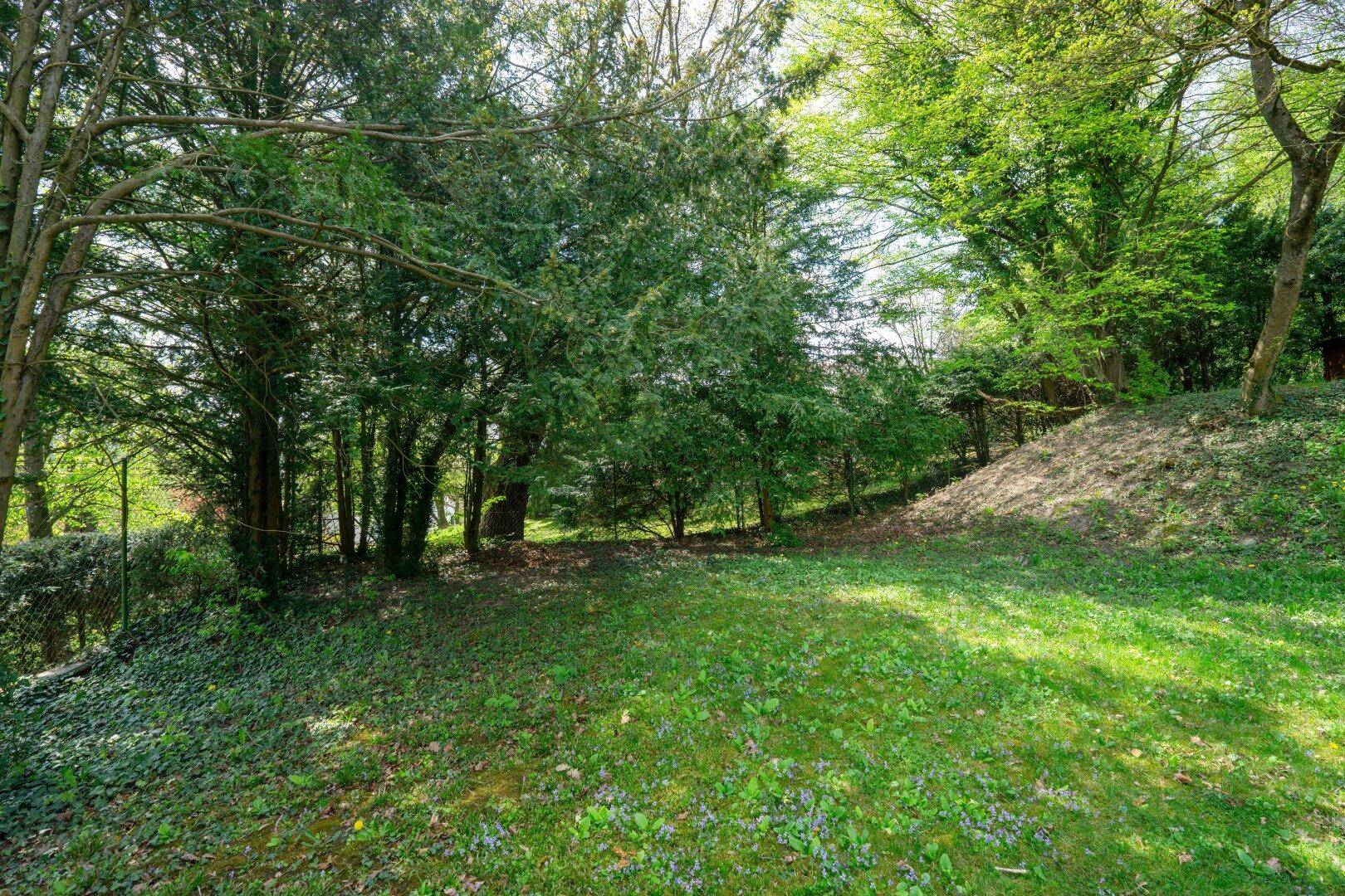 Ruhiger Gartenbereich mit dichtem Baumbestand und einer grünen Rasenfläche, die zum Entspannen einlädt.