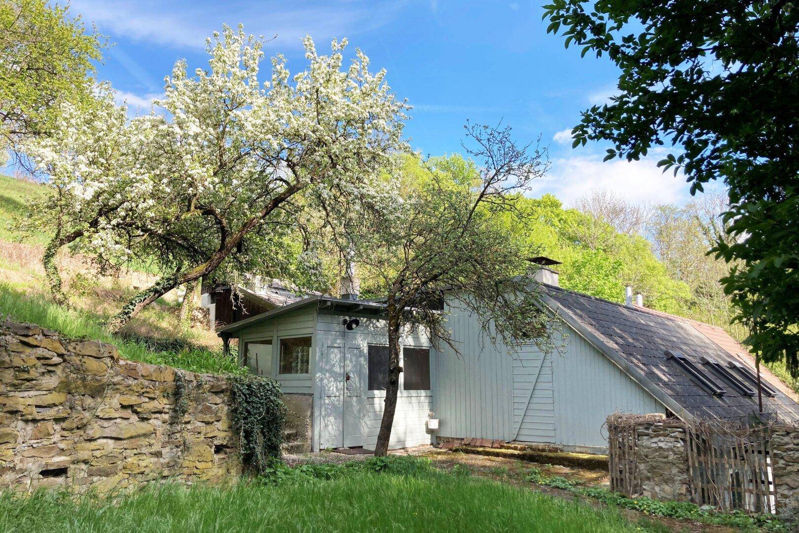 Ehemaliges Weinhauerhaus in einzigartiger Sieveringer Lage wartet auf Revitalisierung! - Ansicht 5