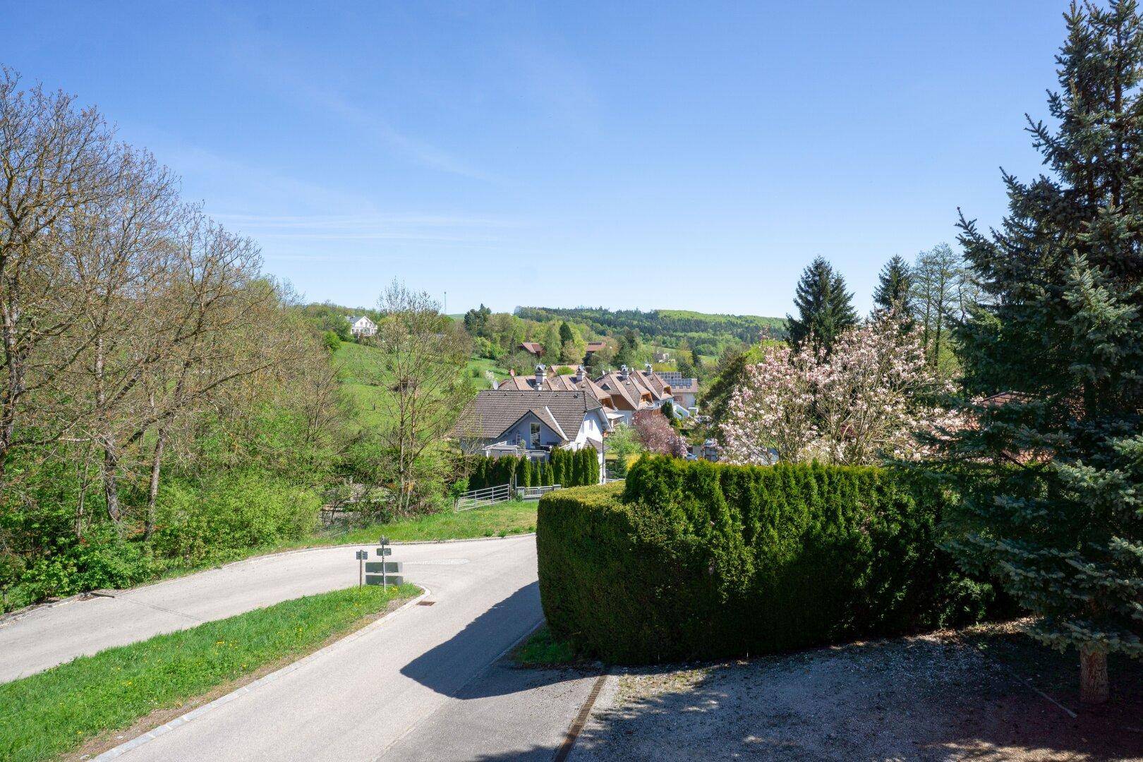Blick auf die Zufahrtsstraße und die umliegende ländliche Landschaft mit Hecken.