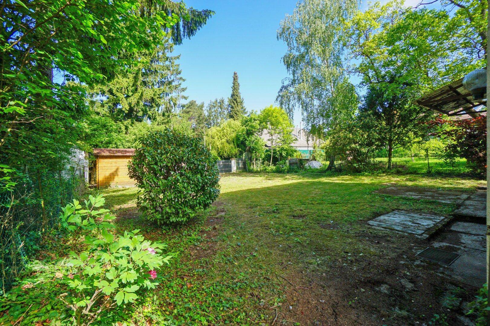 Großer, grüner Gartenbereich hinter dem Haus mit Rasenfläche und Gartenhaus.